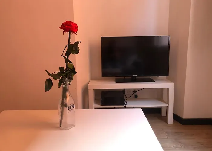 Au cœur du vieux -Nice studio place Rossetti